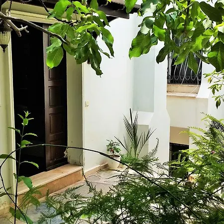 Duplex Apartment-dilek